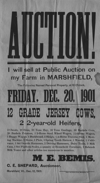AUCTION.jpg