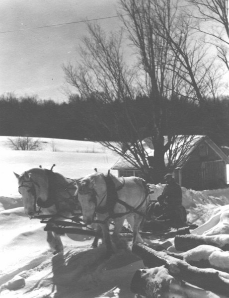 BATES01.JPG