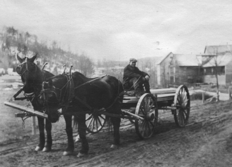 GENERALDINAHCARROLLMEARSONLUMBERWAGON31MAR1915.jpg