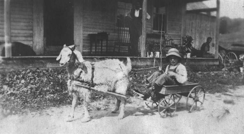 GOATCART.jpg