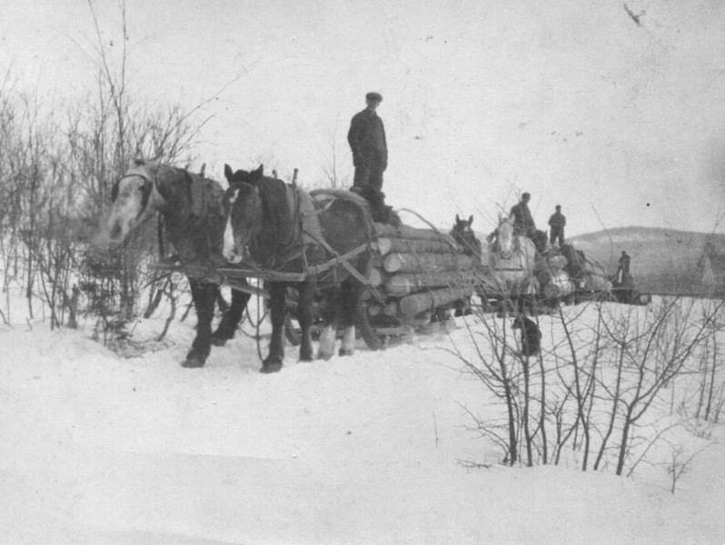 HAULINGLOGSWITHHORSES.jpg