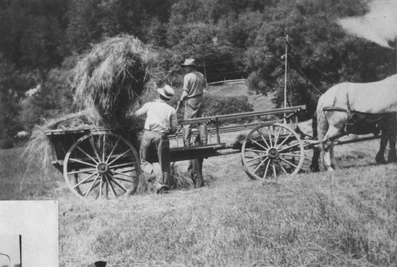 HAYINGATCAMERONS21JUL1915.jpg