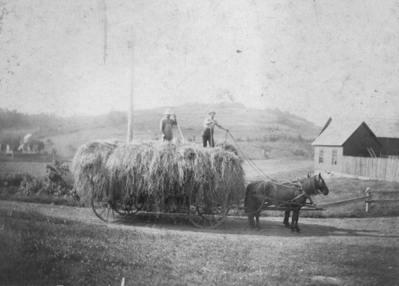 HAYINGONASHMEARSFARMHENHOUSESHEEPSHED.jpg